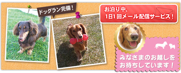 ドッグラン完備